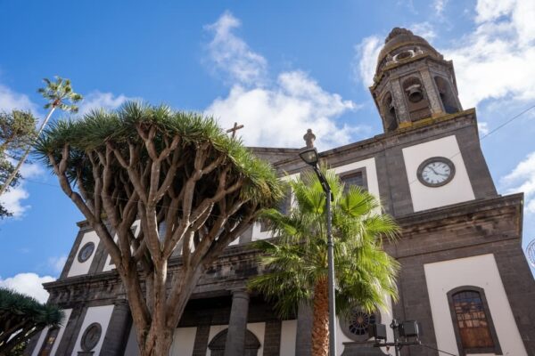 Catedral La Laguna Carrusel Catedral La Laguna